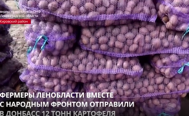 Фермеры Ленобласти вместе с Народным фронтом отправили в Донбасс 12 тонн картофеля