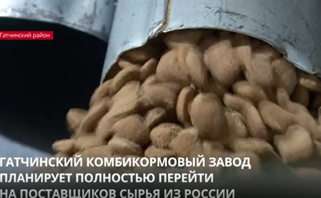 Гатчинский комбикормовый завод планирует полностью перейти на поставщиков сырья из России
