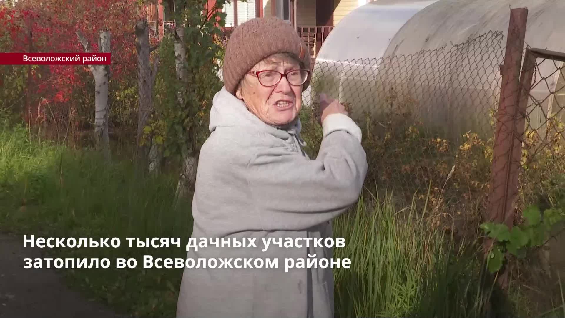 Несколько тысяч дачных участков затопило во Всеволожском районе