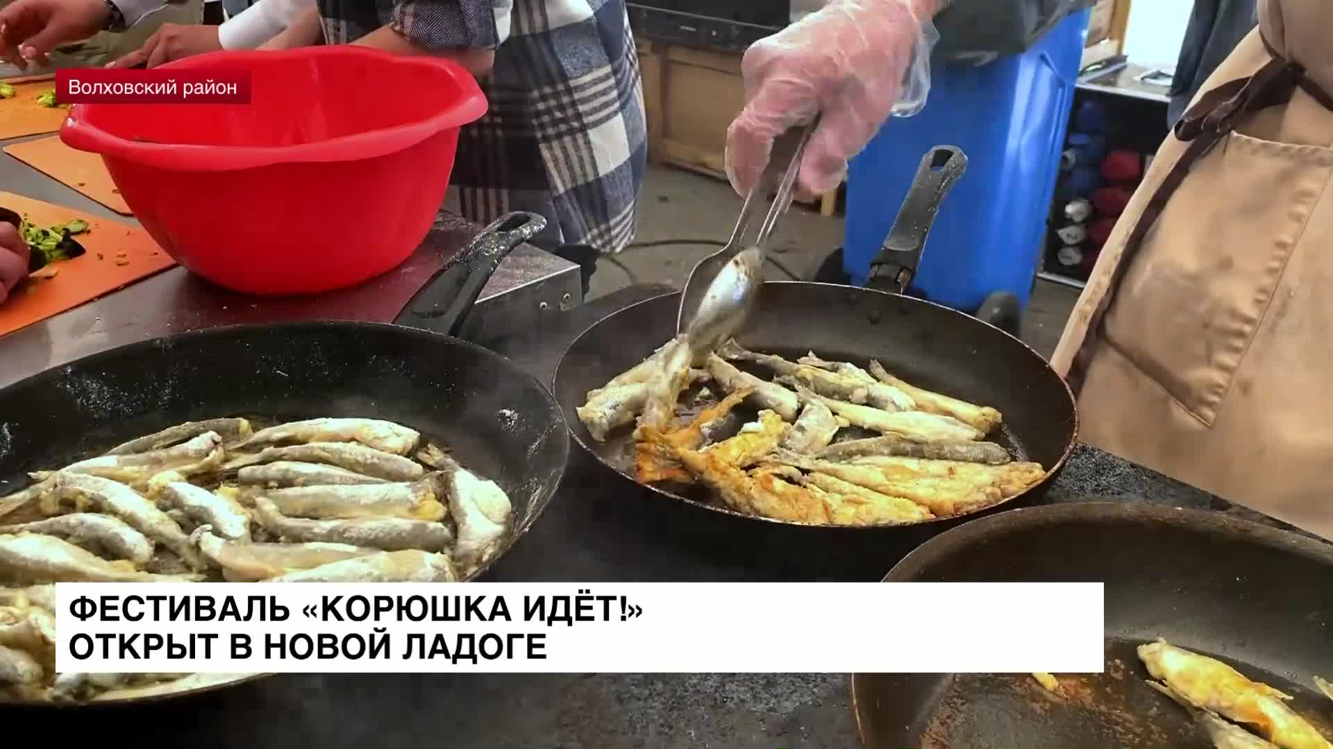 В Новой Ладоге открыт гастрономический фестиваль «Корюшка идет!»